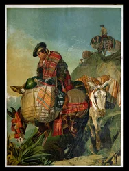 Spanish Contrabandista